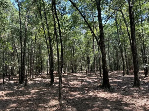 0 Danner Rd #C, Wilmer, AL 36587