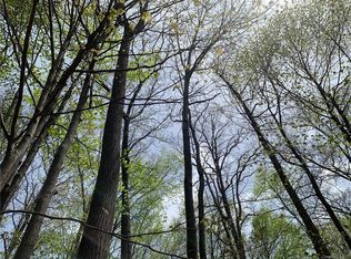 20 Peters Ter, Monroe, NY 10950