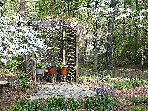 fenced/wooded backyard