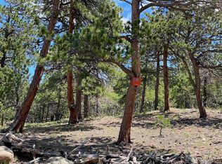 717 Crescent Lake Rd, Golden, CO 80403