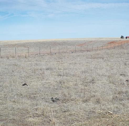 2nd image of Lower Elgin Rd