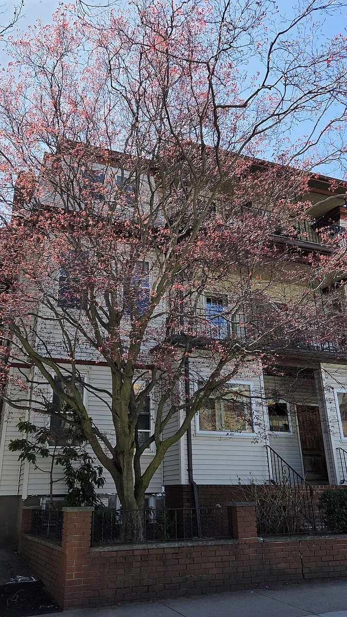 Building Photo - 46 Highland Ave #2A
