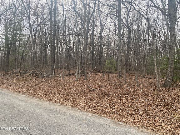 2nd image of 114 Folkstone Rd