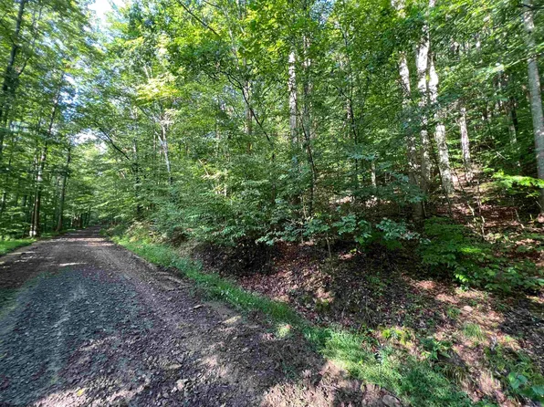 Fallen Timber Rd, Ireland, WV 26376