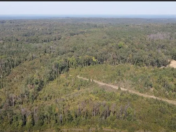 072-017 State Highway 112, Toomsboro, GA 31090