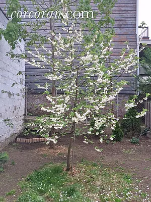 Sold by Corcoran | media 24