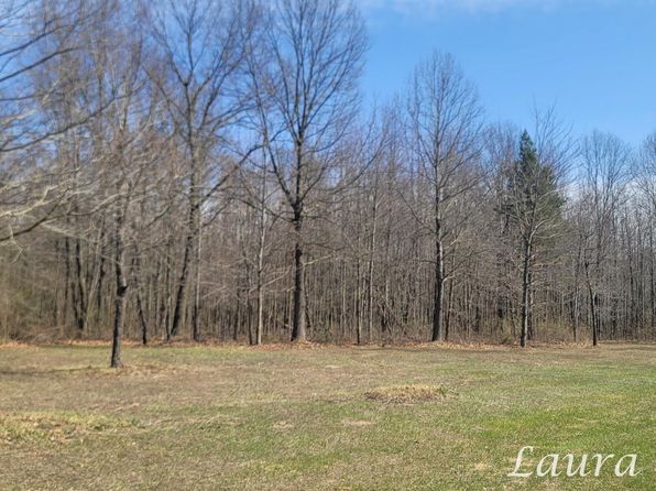 60th St PARCEL B, Fennville, MI 49408