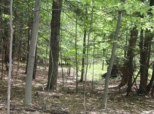 220 Smith Rd, Richmondville, NY 12149