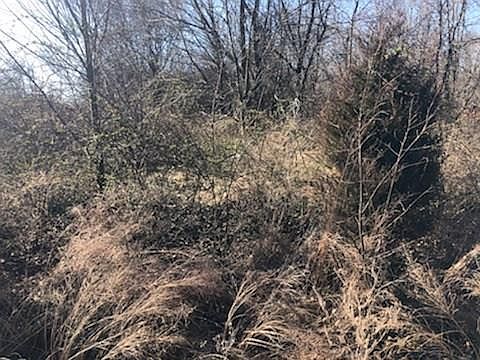 2nd image of 36 Millsap Cir