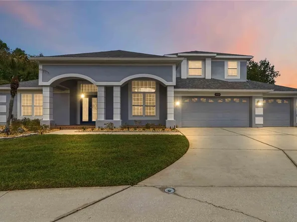 19120 Mandarin Grove Pl, Tampa, FL 33647