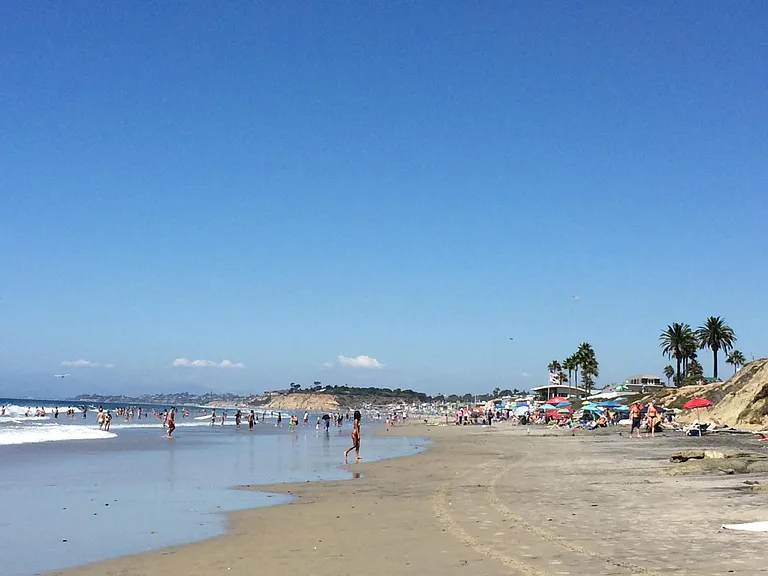 13074 Caminito Cristobal — Photo 45