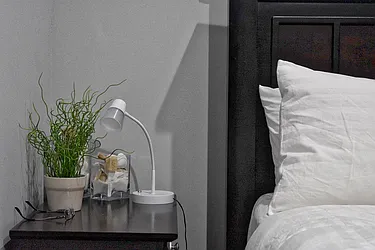 Rented by Bold New York