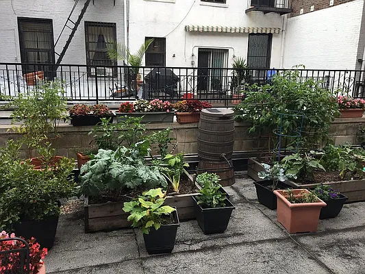 Rented by Brooklyn Bridge | media 11