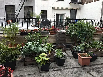 Rented by Brooklyn Bridge