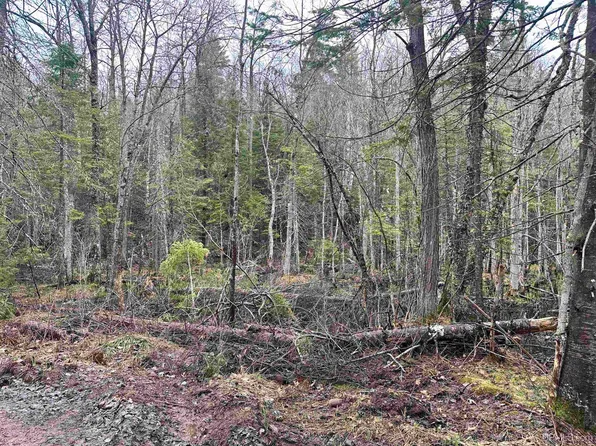 Forestville Co Road Road Co Road Ht #Ht, Marquette, MI 49855
