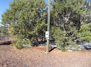 5893 Capps Trl, Show Low, AZ 85901