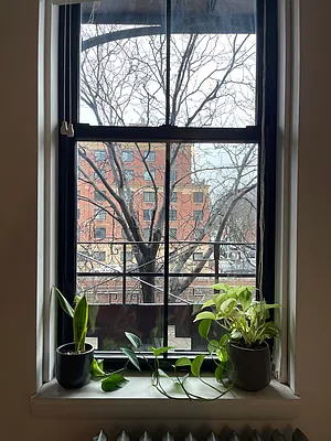 Rented by Corcoran | media 19