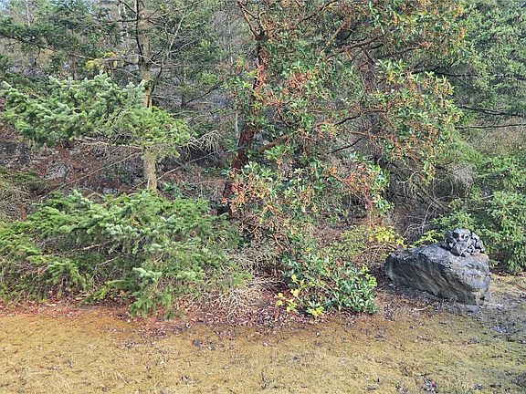 4th image of 7701 NHN State Route 20