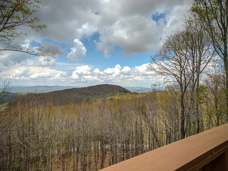 W Blueberry Ln — Photo 45