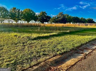 11A Camden Way, Hawkinsville, GA