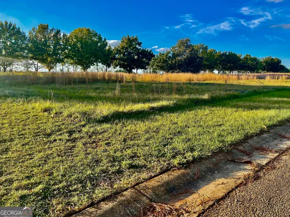 11A Camden Way, Hawkinsville, GA 31036