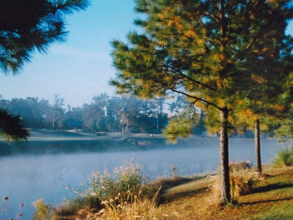 Lake and golf course views in backyard