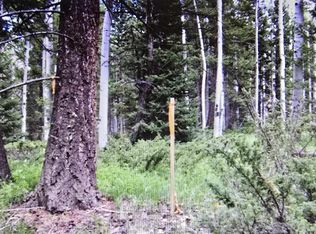 425 Crest Dr, Cimarron, CO 81220