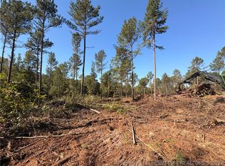 2 S Plank Rd, Sanford, NC 27330