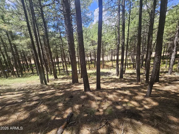 589 TROUT SPRINGS Road #71, Forest Lakes, AZ 85931