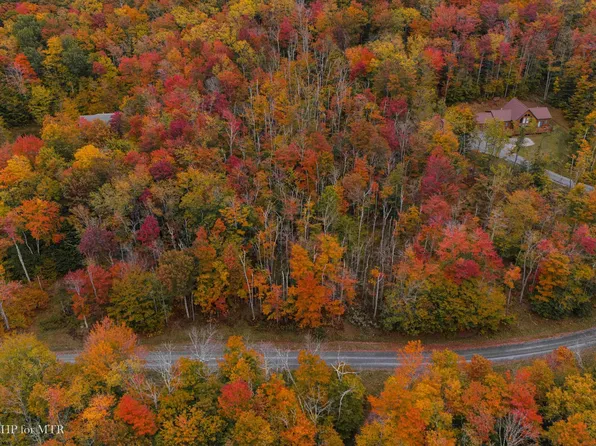 177 Cabin Mountain Rd, Davis, WV 26260