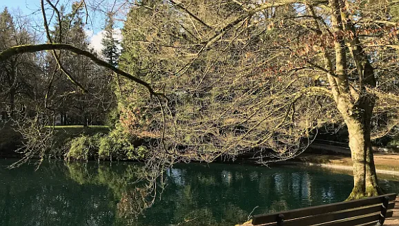 Visit nearby, historic and captivating Laurelhurst Park. A beautiful through Laurelhurst neighborhood.