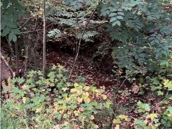 2531 Mohawk Trl #43-44, Acworth, GA 30102