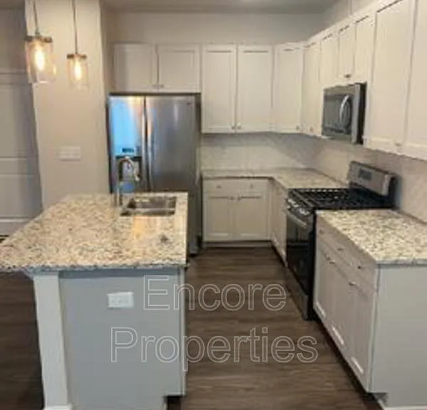 908 Robbie Jackson Ln — Photo 2