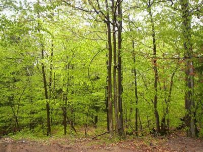 Woodland Dr, Onekama, MI, 49675