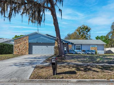 619 Ephrata Dr, Brandon, FL, 33511