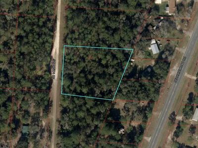 142nd Avenue Lot #12, Morriston, FL, 32668