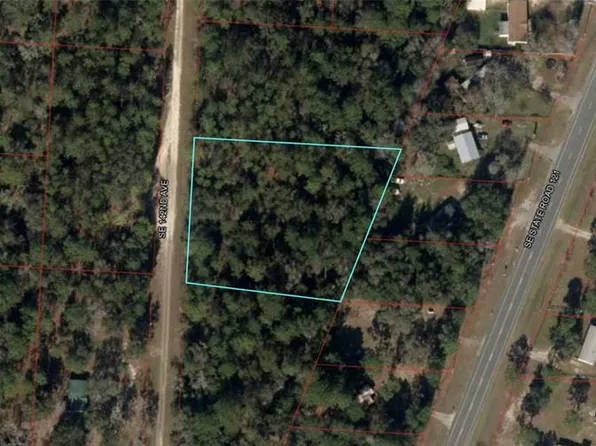 142nd Avenue Lot #12, Morriston, FL 32668