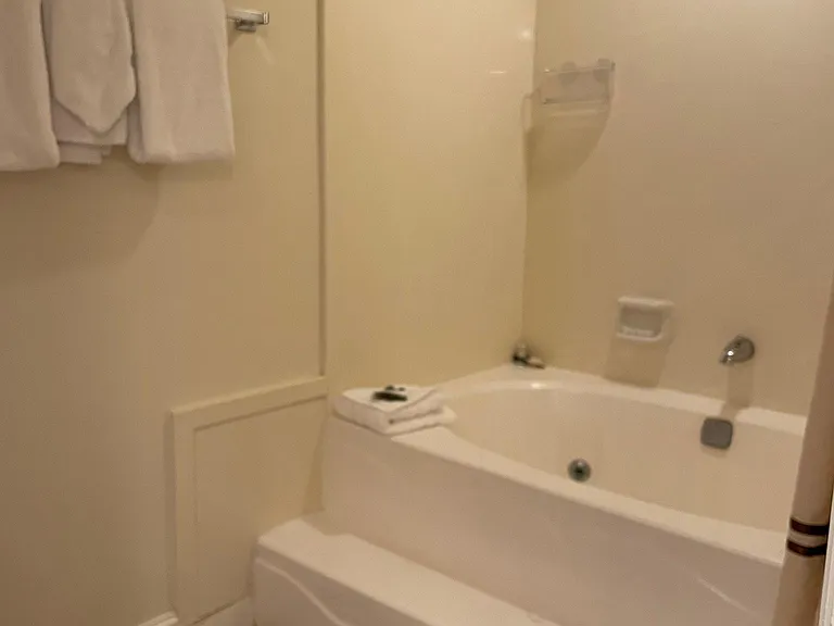 50 Shadow Ridge Rd #4313 — Photo 12