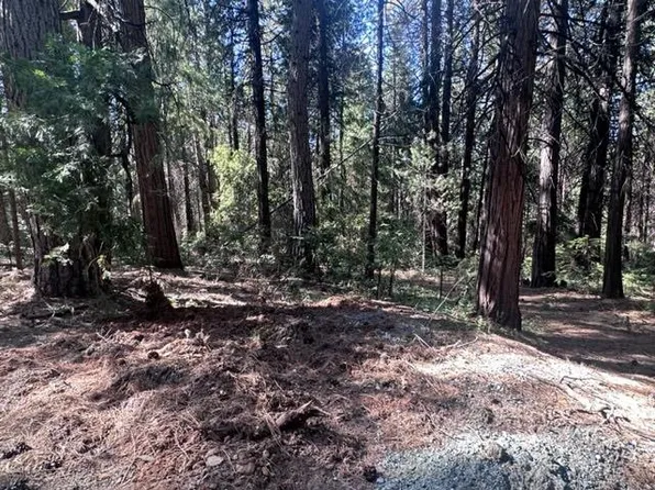 Allan Rd W, Volcano, CA 95689