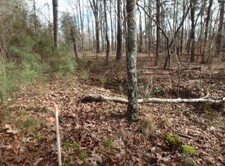 0 Amicks Ferry Rd, Chapin, SC 29036