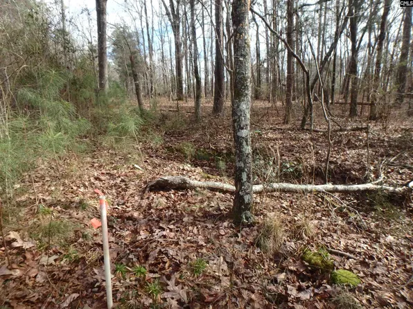 0 Amicks Ferry Rd, Chapin, SC 29036
