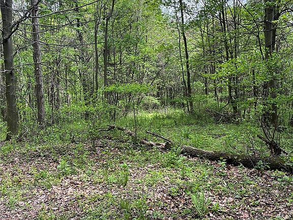 3rd image of Sandy Ridge Rd SE