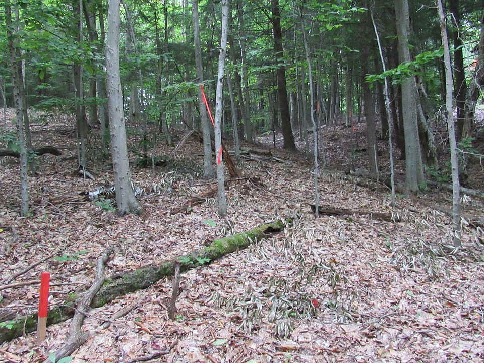 1st image of L16 Barker Road