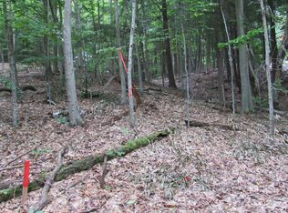 L16 Barker Road, Edinburg, NY 12134