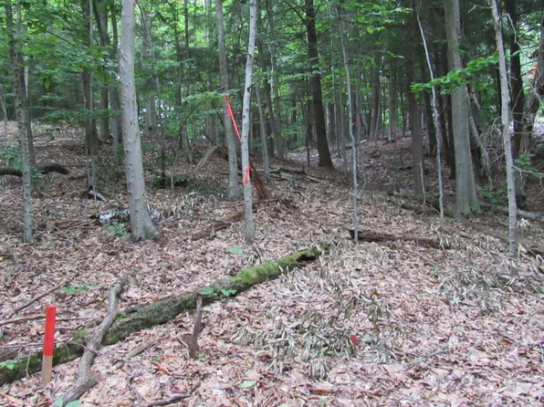 L16 Barker Road, Edinburg, NY 12134