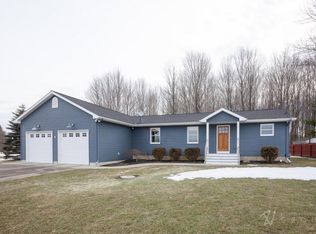 10195 Tamarack Rd, Lakeview, MI 48850