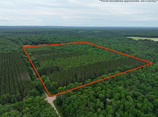 V/l 40a W Mile Rd #9, Irons, MI 49644