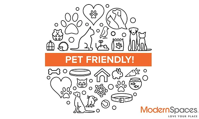 Rented by Modern Spaces | media 45