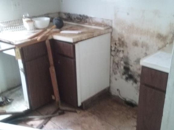 5th image of 7210 N Manhattan Ave APT 2114
