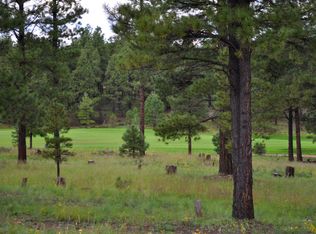 1608 E Castle Hills Dr, Flagstaff, AZ 86005